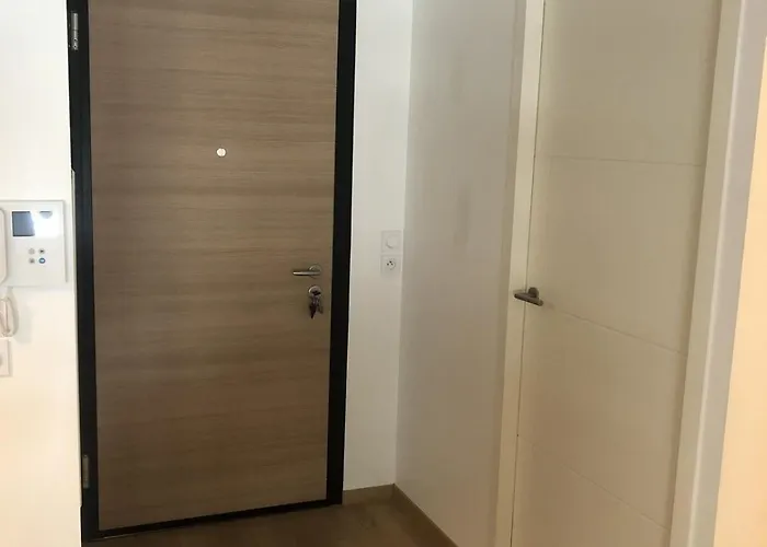 Apartment T3 66 M2 L'univers Centre-ville 2 Garage Et Terrasse